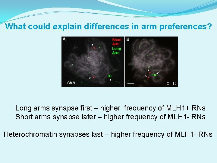 What could explain differences in arm preferences? Short Arm Long Arm Ch 9 Ch