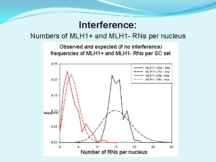 Interference: Numbers of MLH 1+ and MLH 1 - RNs per nucleus Observed and