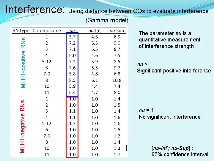 Interference: Interference Using distance between COs to evaluate interference MLH 1 -negative RNs MLH