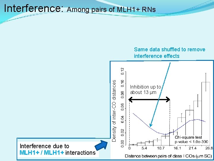 Interference: Interference Among pairs of MLH 1+ RNs Density of inter-CO distances Same data