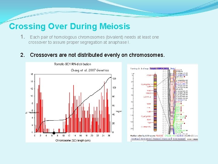 Crossing Over During Meiosis 1. Each pair of homologous chromosomes (bivalent) needs at least