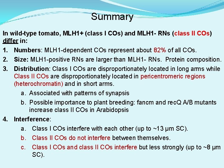 Summary In wild-type tomato, MLH 1+ (class I COs) and MLH 1 - RNs