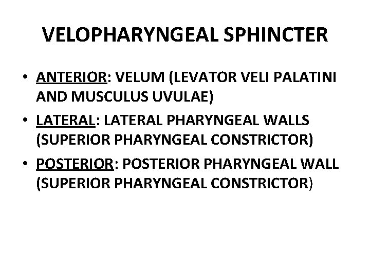 VELOPHARYNGEAL SPHINCTER • ANTERIOR: VELUM (LEVATOR VELI PALATINI AND MUSCULUS UVULAE) • LATERAL: LATERAL