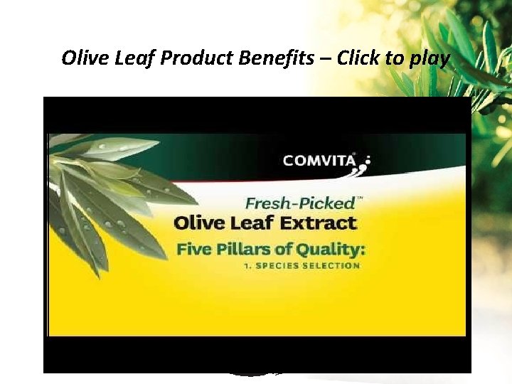 Olive Leaf Product Benefits – Click to play 