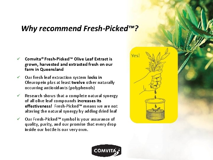 Why recommend Fresh-Picked™? Comvita® Fresh-Picked™ Olive Leaf Extract is grown, harvested and extracted fresh