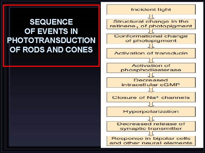SEQUENCE OF EVENTS IN PHOTOTRANSDUCTION OF RODS AND CONES SEQUENCE OF EVENTS IN PHOTOTRANSDUCTION OF RODS AND CONES