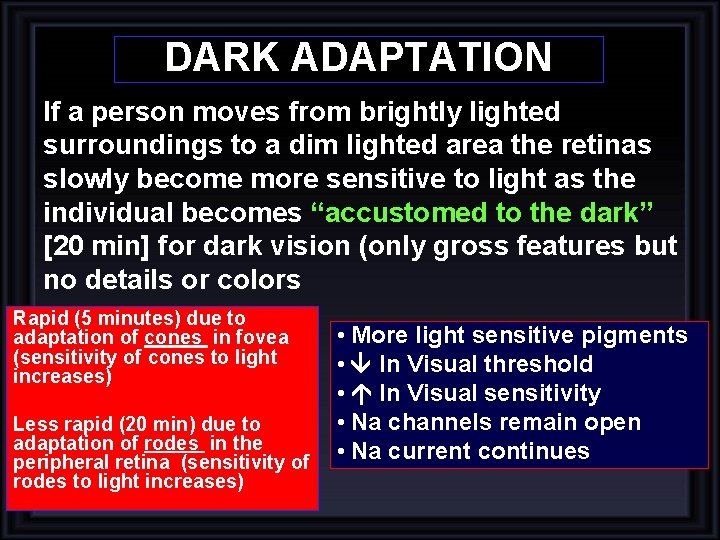 DARK ADAPTATION If a person moves from brightly lighted surroundings to a dim lighted DARK ADAPTATION If a person moves from brightly lighted surroundings to a dim lighted
