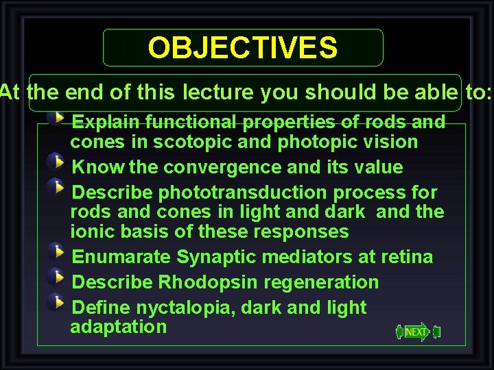 OBJECTIVES At the end of this lecture you should be able to: Explain functional OBJECTIVES At the end of this lecture you should be able to: Explain functional