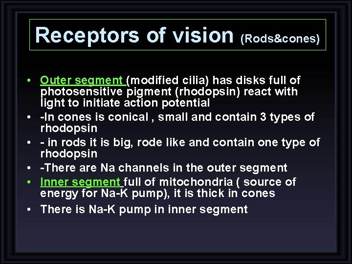 Receptors of vision (Rods&cones) • Outer segment (modified cilia) has disks full of photosensitive Receptors of vision (Rods&cones) • Outer segment (modified cilia) has disks full of photosensitive