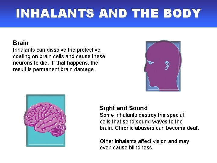 INHALANTS AND THE BODY Brain Inhalants can dissolve the protective coating on brain cells INHALANTS AND THE BODY Brain Inhalants can dissolve the protective coating on brain cells
