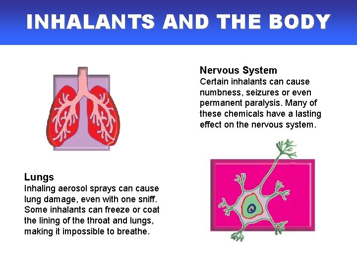 INHALANTS AND THE BODY Nervous System Certain inhalants can cause numbness, seizures or even INHALANTS AND THE BODY Nervous System Certain inhalants can cause numbness, seizures or even