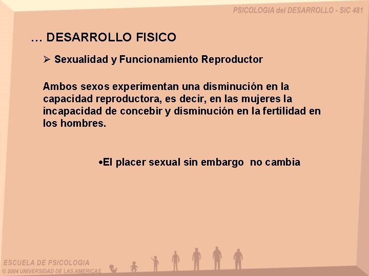 … DESARROLLO FISICO Ø Sexualidad y Funcionamiento Reproductor Ambos sexos experimentan una disminución en