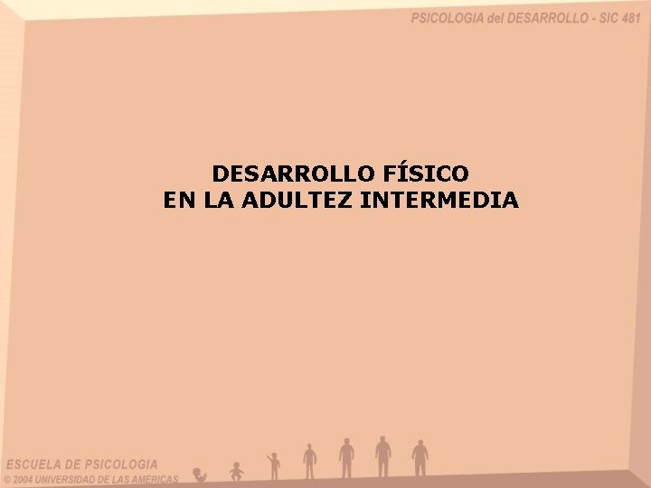 DESARROLLO FÍSICO EN LA ADULTEZ INTERMEDIA 