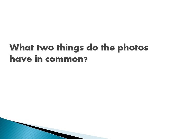 What two things do the photos have in common? 