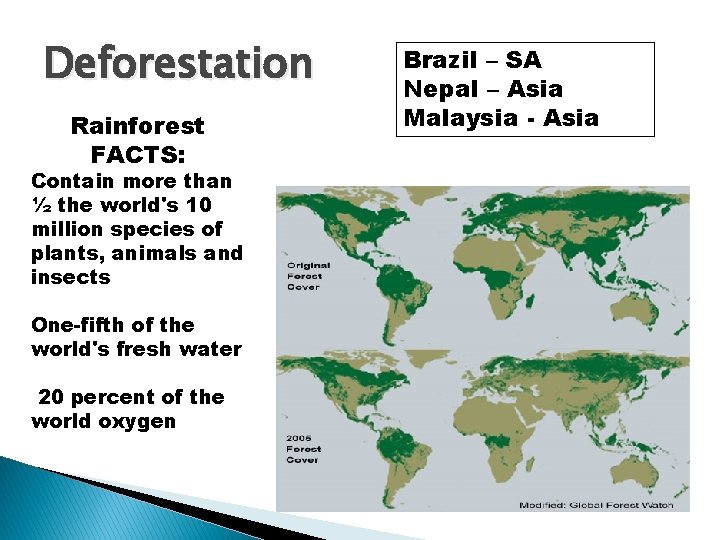 Deforestation Rainforest FACTS: Contain more than ½ the world's 10 million species of plants,