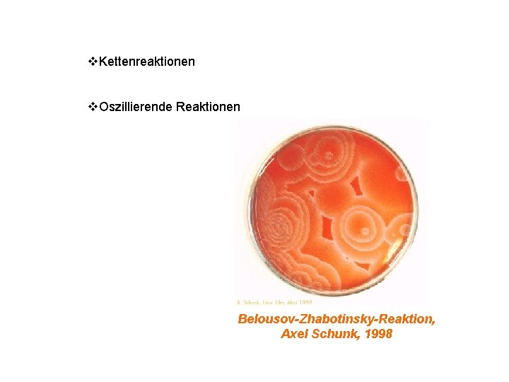 v. Kettenreaktionen v. Oszillierende Reaktionen Belousov-Zhabotinsky-Reaktion, Axel Schunk, 1998 