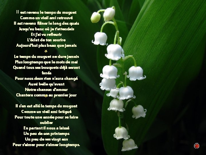 Il est revenu le temps du muguet Comme un vieil ami retrouvé "Le temps