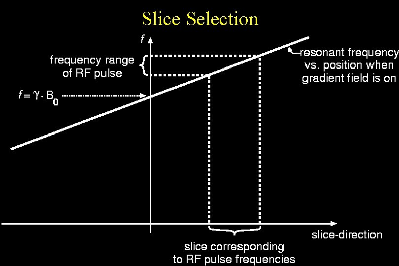 Slice Selection 