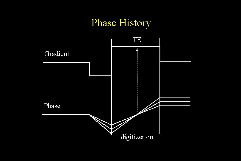 Phase History TE Gradient Phase digitizer on 