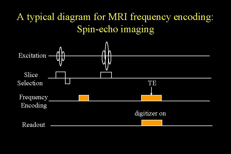 A typical diagram for MRI frequency encoding: Spin-echo imaging Excitation Slice Selection TE Frequency