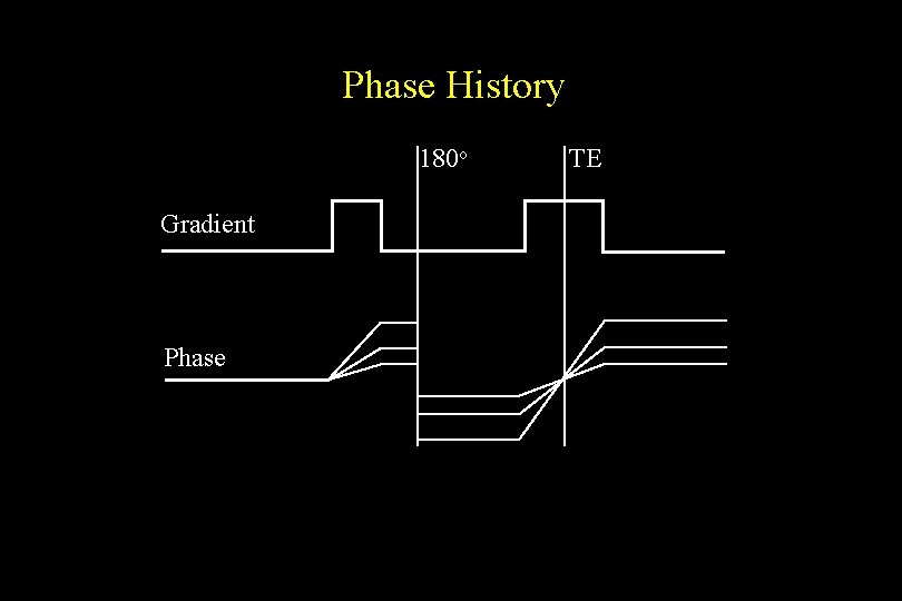 Phase History 180 o Gradient Phase TE 