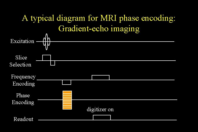 A typical diagram for MRI phase encoding: Gradient-echo imaging Excitation Slice Selection Frequency Encoding