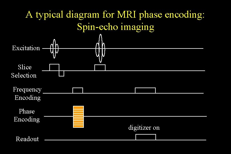 A typical diagram for MRI phase encoding: Spin-echo imaging Excitation Slice Selection Frequency Encoding