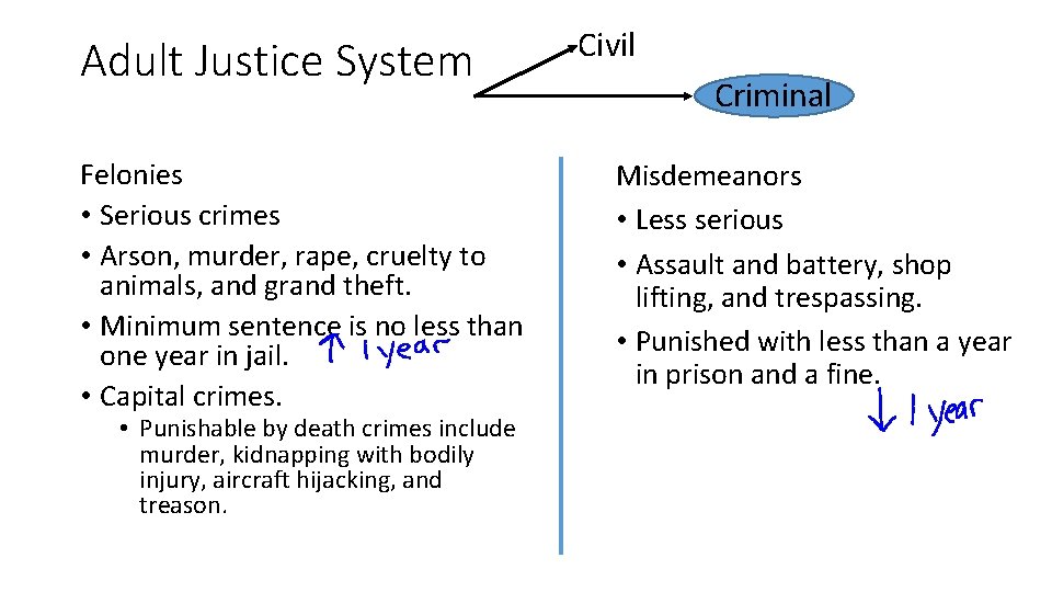 Adult Justice System Felonies • Serious crimes • Arson, murder, rape, cruelty to animals,