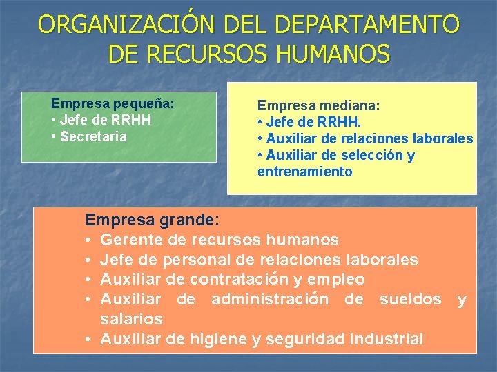 ORGANIZACIÓN DEL DEPARTAMENTO DE RECURSOS HUMANOS Empresa pequeña: • Jefe de RRHH • Secretaria