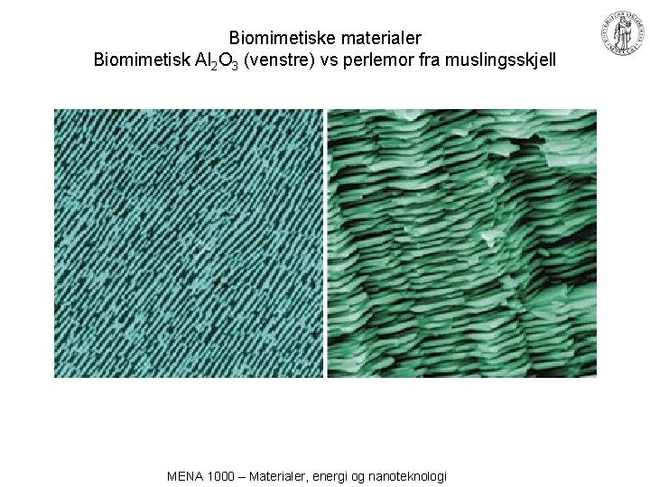 Biomimetiske materialer Biomimetisk Al 2 O 3 (venstre) vs perlemor fra muslingsskjell MENA 1000