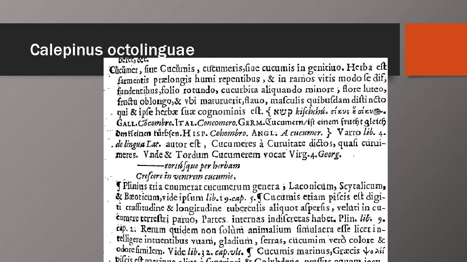 Calepinus octolinguae 