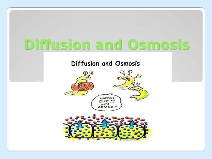 Diffusion and Osmosis 