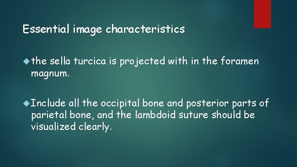 Essential image characteristics the sella turcica is projected with in the foramen magnum. Include