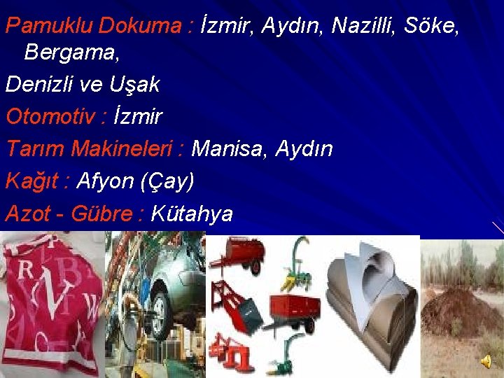 Pamuklu Dokuma : İzmir, Aydın, Nazilli, Söke, Bergama, Denizli ve Uşak Otomotiv : İzmir