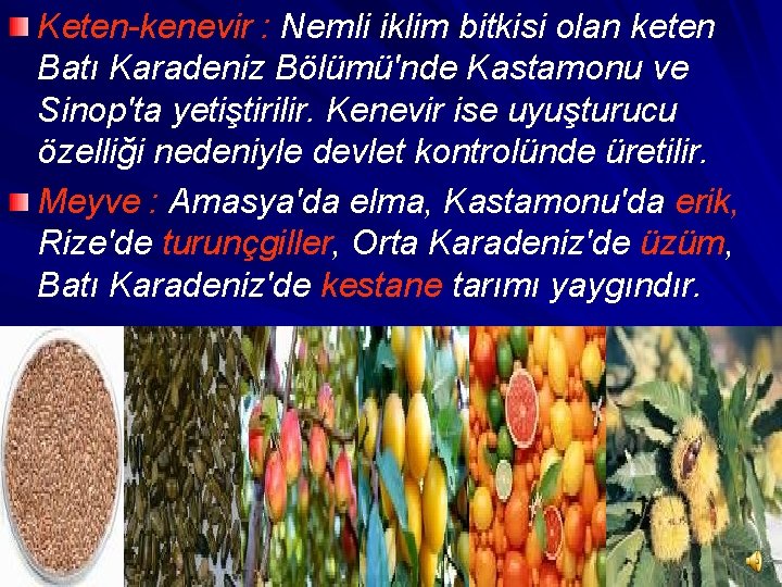 Keten-kenevir : Nemli iklim bitkisi olan keten Batı Karadeniz Bölümü'nde Kastamonu ve Sinop'ta yetiştirilir.