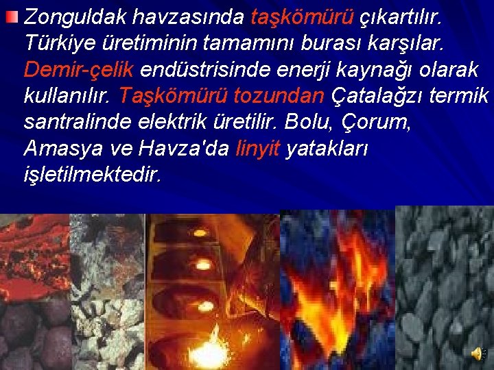Zonguldak havzasında taşkömürü çıkartılır. Türkiye üretiminin tamamını burası karşılar. Demir-çelik endüstrisinde enerji kaynağı olarak