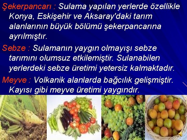 Şekerpancarı : Sulama yapılan yerlerde özellikle Konya, Eskişehir ve Aksaray'daki tarım alanlarının büyük bölümü