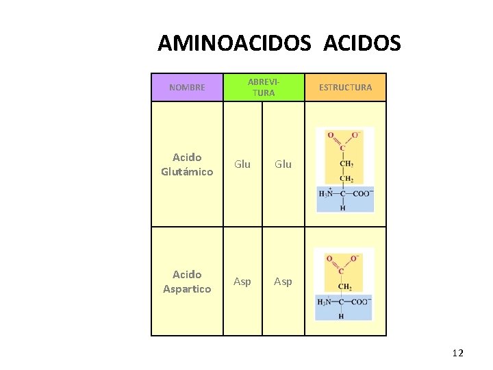 AMINOACIDOS NOMBRE ABREVITURA Acido Glutámico Glu Acido Aspartico Asp ESTRUCTURA 12 