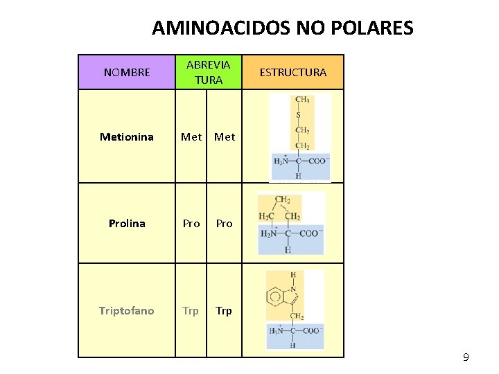 AMINOACIDOS NO POLARES NOMBRE ABREVIA TURA Metionina Met Prolina Pro Triptofano Trp ESTRUCTURA 9