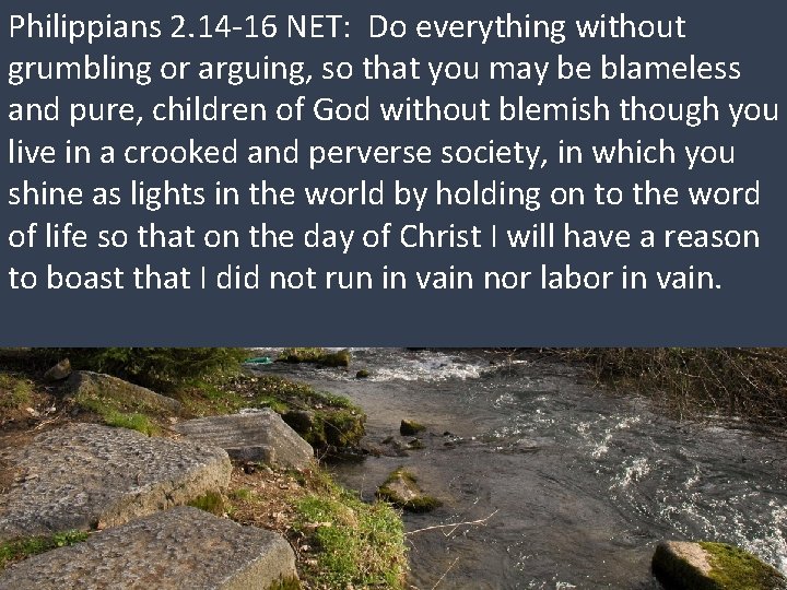 Philippians 2. 14 -16 NET: Do everything without grumbling or arguing, so that you Philippians 2. 14 -16 NET: Do everything without grumbling or arguing, so that you