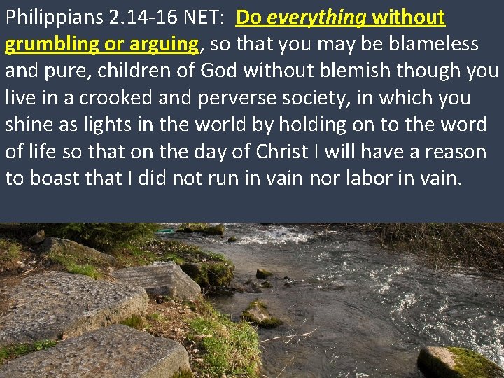 Philippians 2. 14 -16 NET: Do everything without grumbling or arguing, so that you Philippians 2. 14 -16 NET: Do everything without grumbling or arguing, so that you