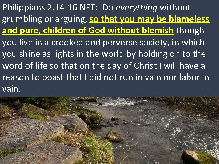 Philippians 2. 14 -16 NET: Do everything without grumbling or arguing, so that you Philippians 2. 14 -16 NET: Do everything without grumbling or arguing, so that you
