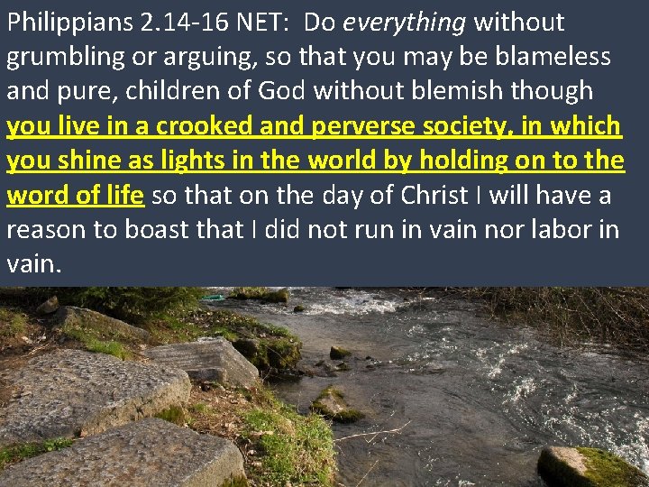 Philippians 2. 14 -16 NET: Do everything without grumbling or arguing, so that you Philippians 2. 14 -16 NET: Do everything without grumbling or arguing, so that you