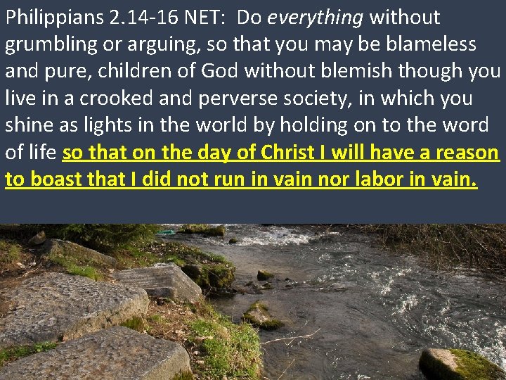 Philippians 2. 14 -16 NET: Do everything without grumbling or arguing, so that you Philippians 2. 14 -16 NET: Do everything without grumbling or arguing, so that you