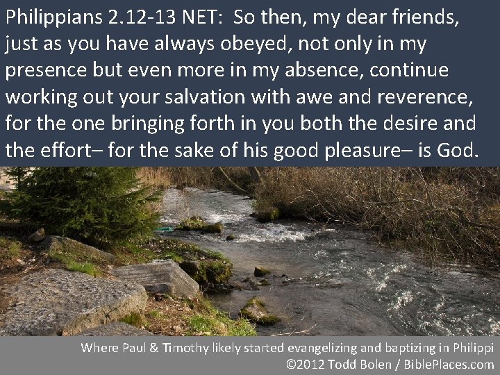 Philippians 2. 12 -13 NET: So then, my dear friends, just as you have Philippians 2. 12 -13 NET: So then, my dear friends, just as you have