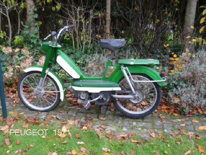 PEUGEOT 1971 