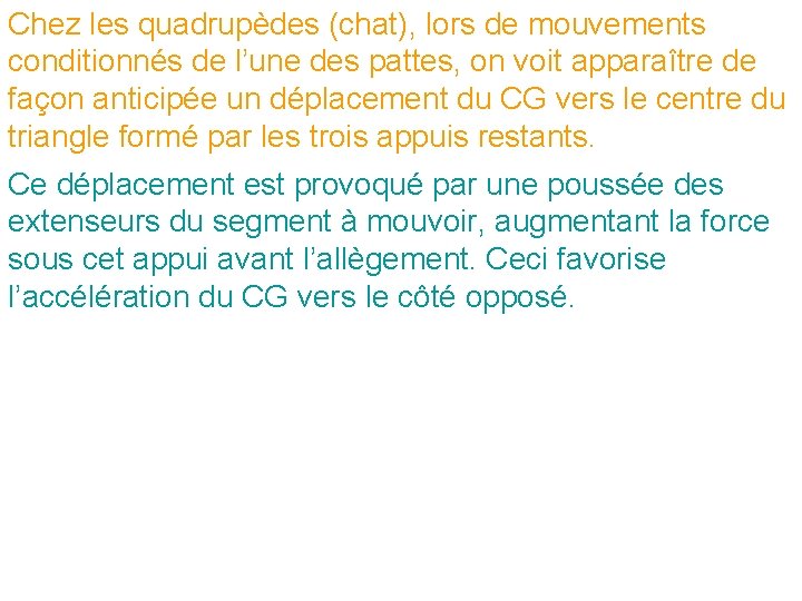 Chez les quadrupèdes (chat), lors de mouvements conditionnés de l’une des pattes, on voit