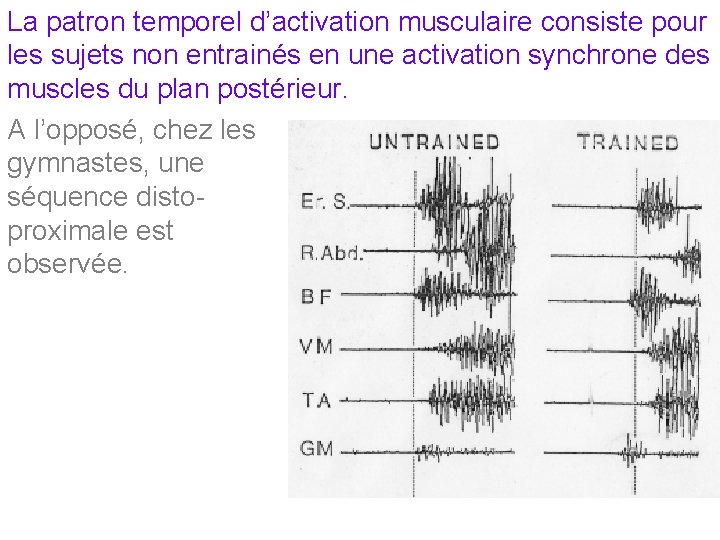 La patron temporel d’activation musculaire consiste pour les sujets non entrainés en une activation