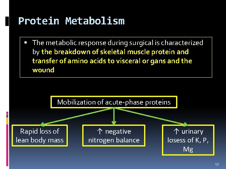 Protein Metabolism The metabolic response during surgical is characterized by the breakdown of skeletal