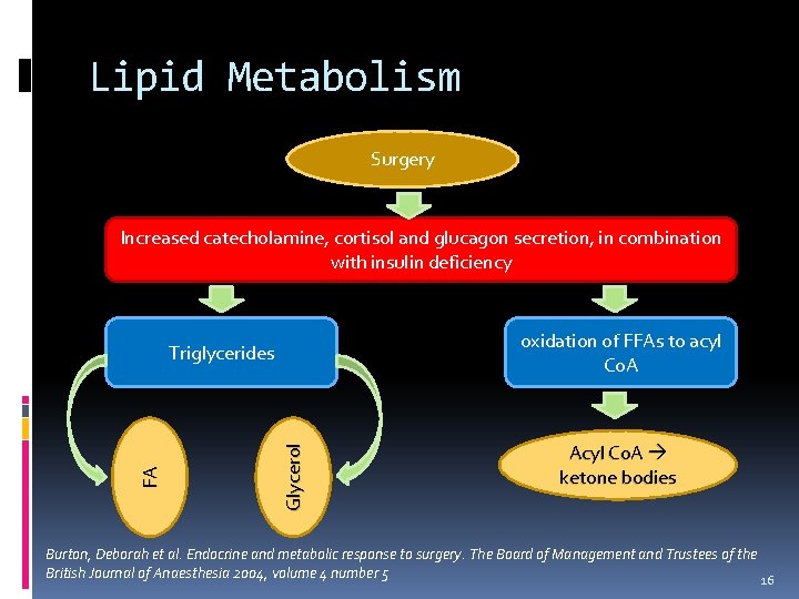Lipid Metabolism Surgery Increased catecholamine, cortisol and glucagon secretion, in combination with insulin deficiency